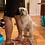 Andy_Deemer