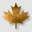 mapleleaf